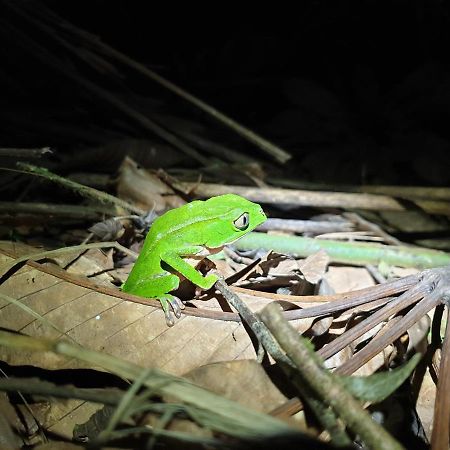 Willa Reserva Natural Tucuchira Santa Sofía Zewnętrze zdjęcie