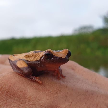 Willa Reserva Natural Tucuchira Santa Sofía Zewnętrze zdjęcie