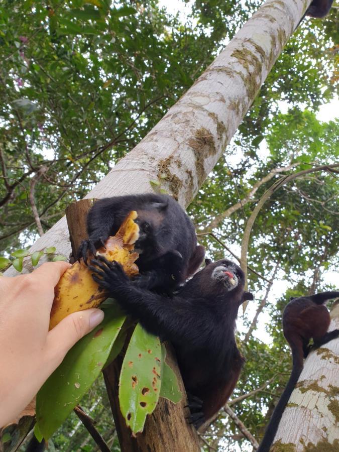 Willa Reserva Natural Tucuchira Santa Sofía Zewnętrze zdjęcie