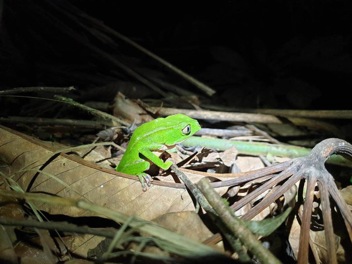 Willa Reserva Natural Tucuchira Santa Sofía Zewnętrze zdjęcie