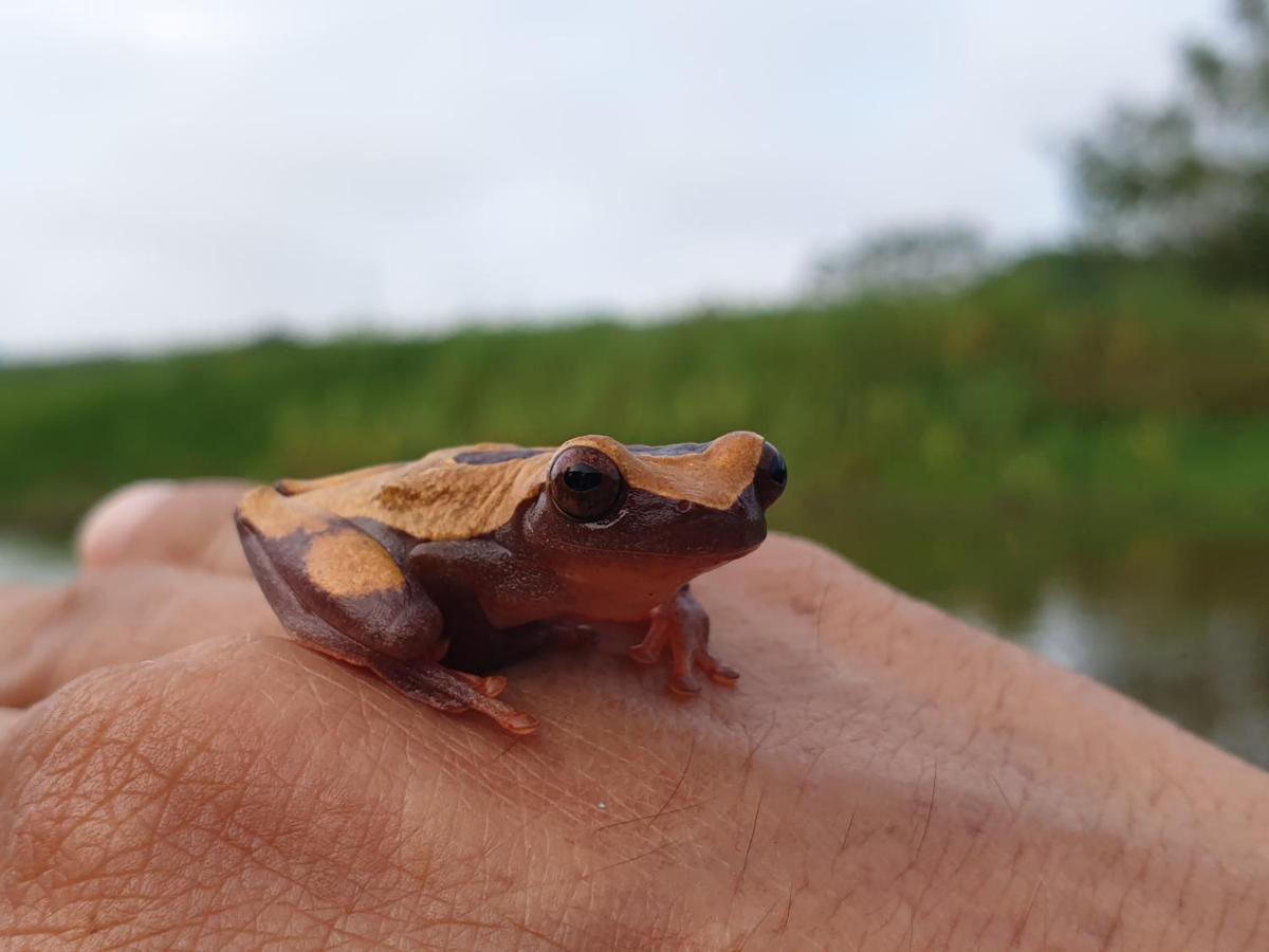 Willa Reserva Natural Tucuchira Santa Sofía Zewnętrze zdjęcie
