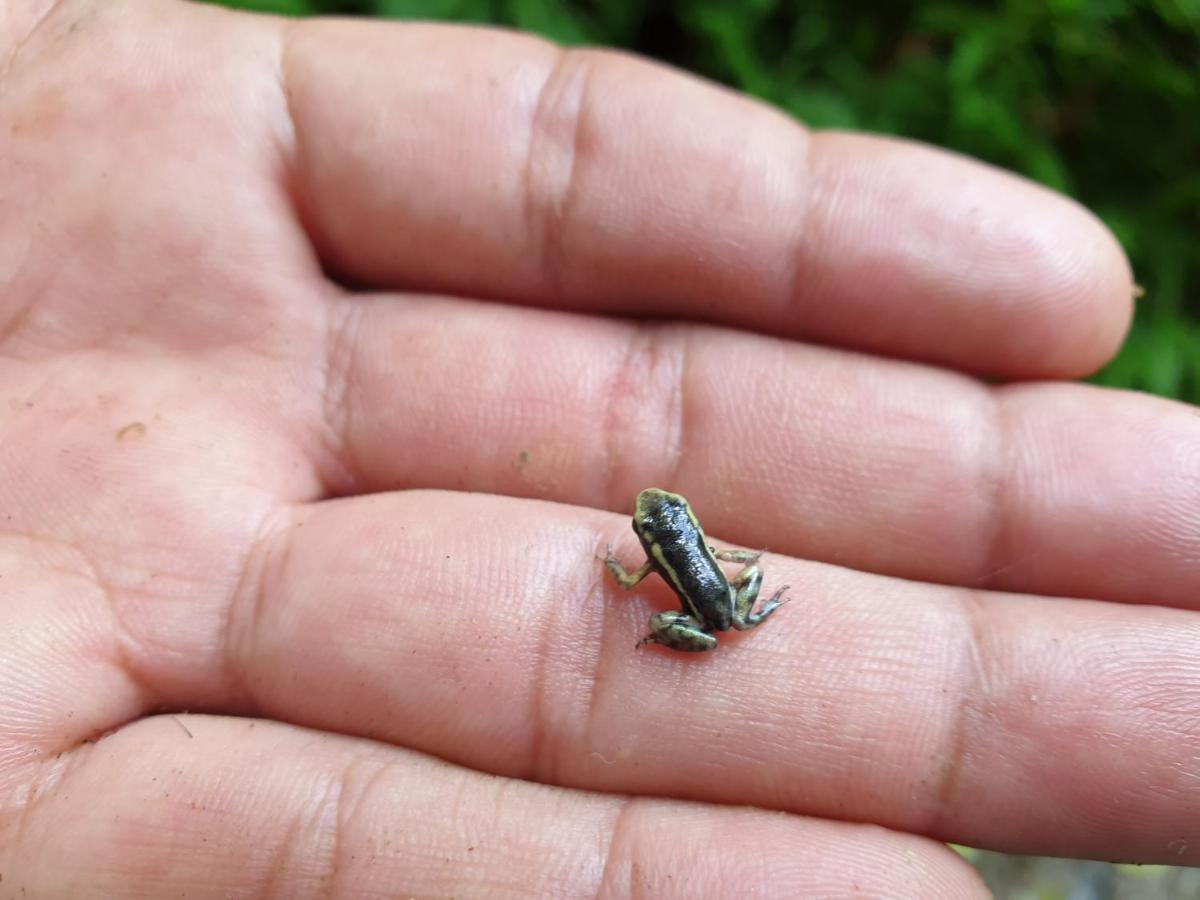 Willa Reserva Natural Tucuchira Santa Sofía Zewnętrze zdjęcie