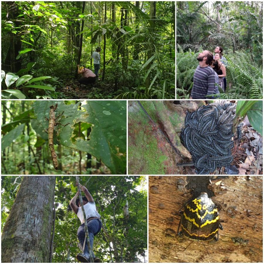 Willa Reserva Natural Tucuchira Santa Sofía Zewnętrze zdjęcie