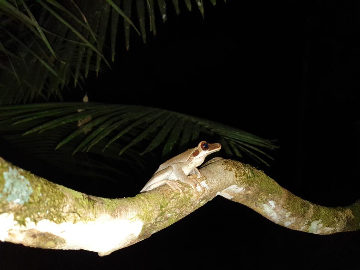 Willa Reserva Natural Tucuchira Santa Sofía Zewnętrze zdjęcie
