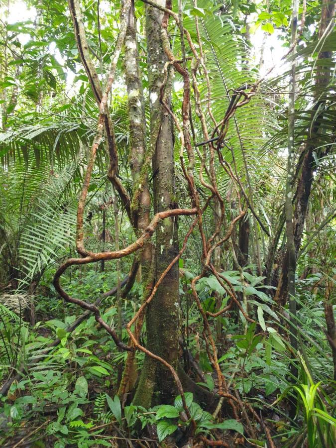 Willa Reserva Natural Tucuchira Santa Sofía Zewnętrze zdjęcie