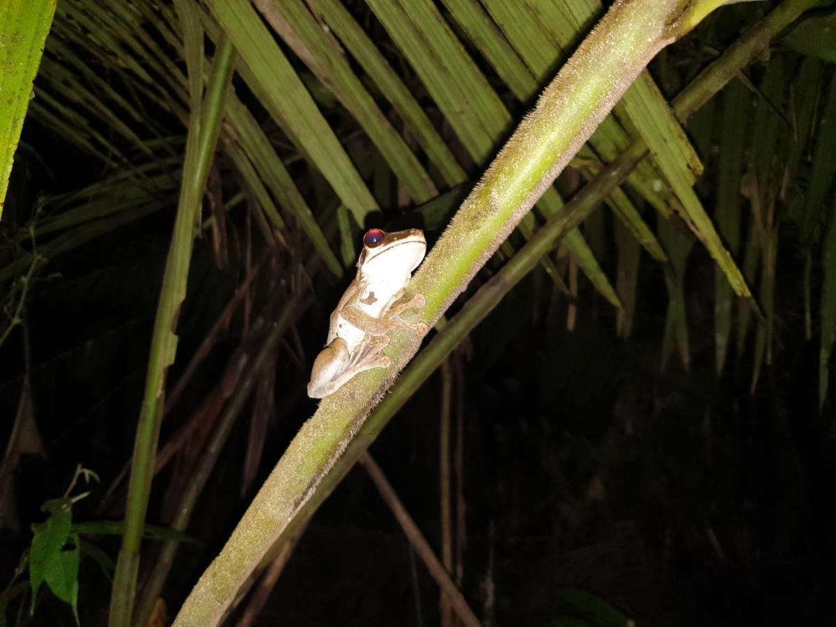 Willa Reserva Natural Tucuchira Santa Sofía Zewnętrze zdjęcie
