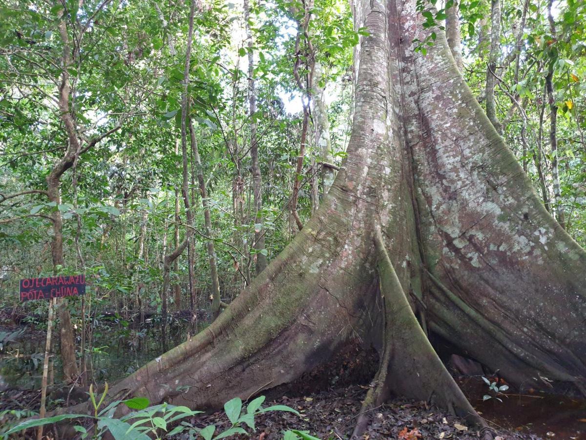 Willa Reserva Natural Tucuchira Santa Sofía Zewnętrze zdjęcie