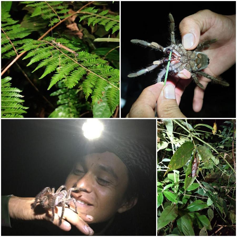Willa Reserva Natural Tucuchira Santa Sofía Zewnętrze zdjęcie