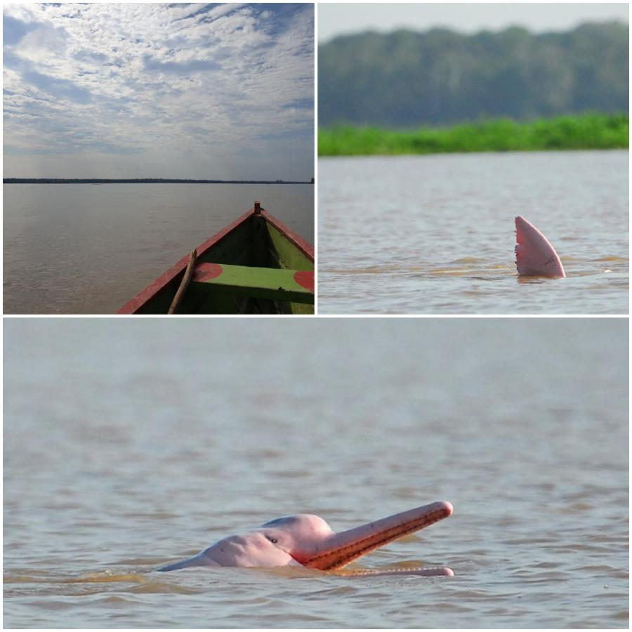 Willa Reserva Natural Tucuchira Santa Sofía Zewnętrze zdjęcie