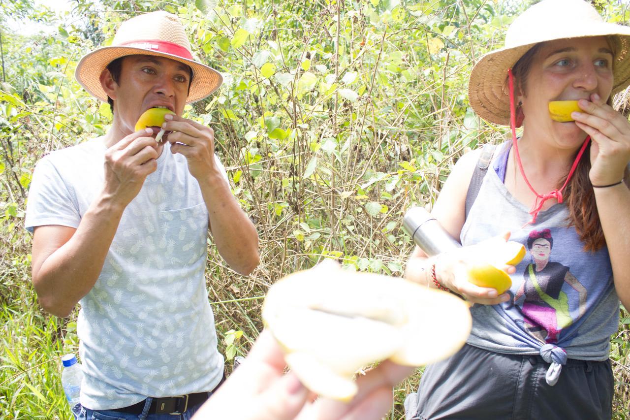 Willa Reserva Natural Tucuchira Santa Sofía Zewnętrze zdjęcie